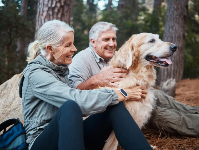 A Evolução dos Animais de Estimação: Dos Companheiros Antigos aos Membros da Família Moderna