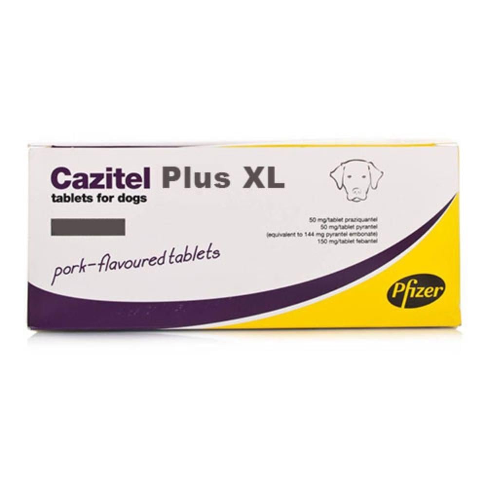 CAZITEL XL